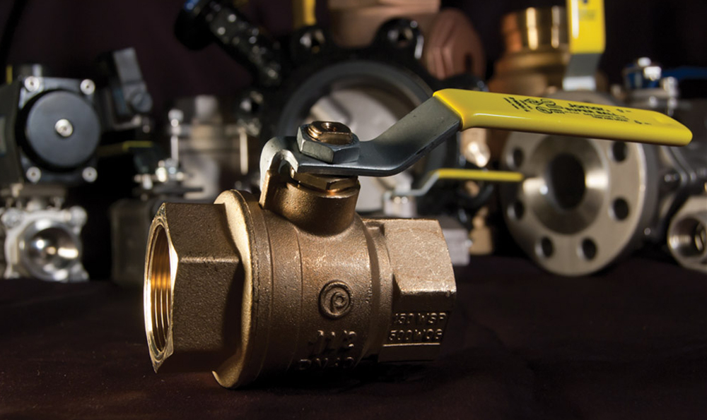 Ball Valves Distributor Albany Pump